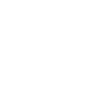 State of Ohio Treasurer white Seal